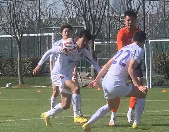 大胆西西人体视频
